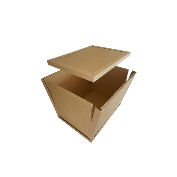 Paper cargo box spillco